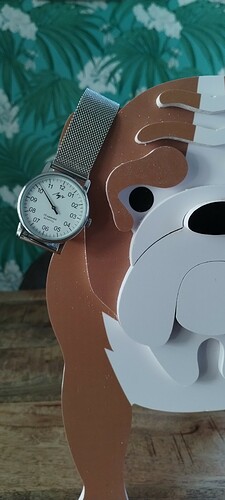 IMG_20230924_101823734