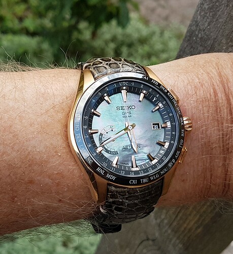 Seiko Astron (2) 31-08-22
