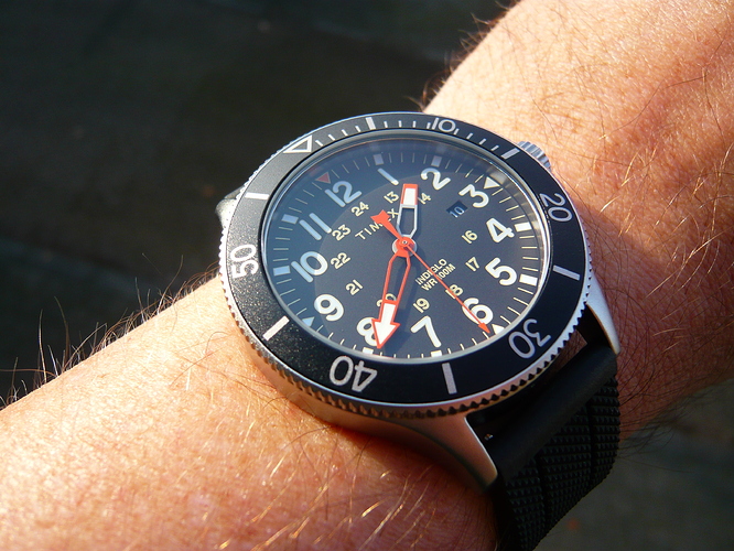Timex allied coastline 43mm deals