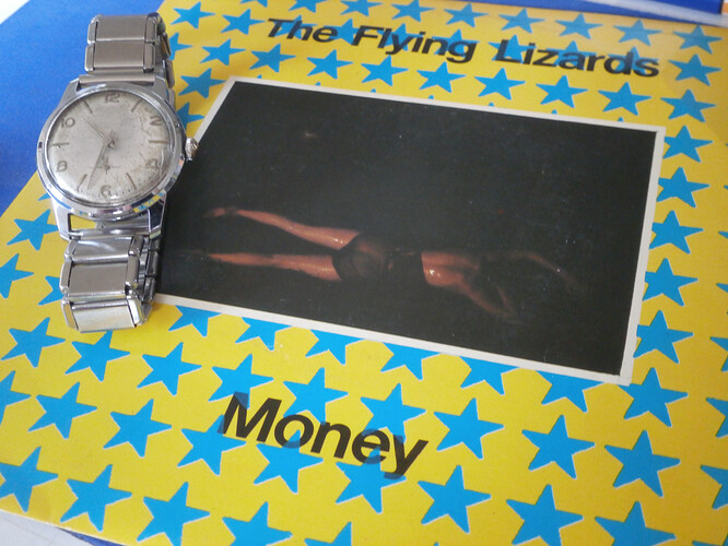 the_flying _lizards