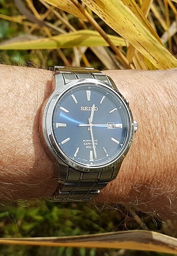 Seiko Kinetic (1) 10--10-22