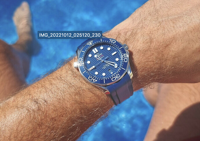 omega Seamaster