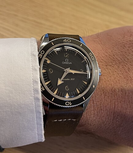 OMEGA_1308