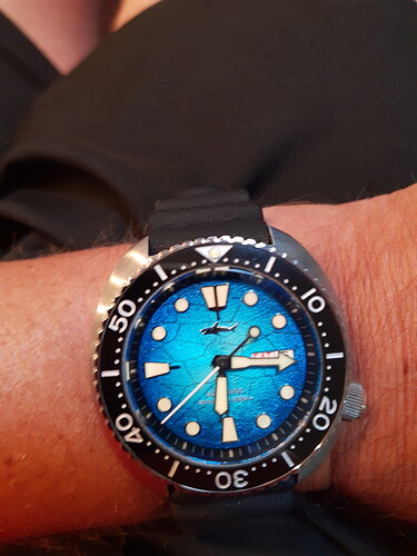 16598025387801596759394700219203