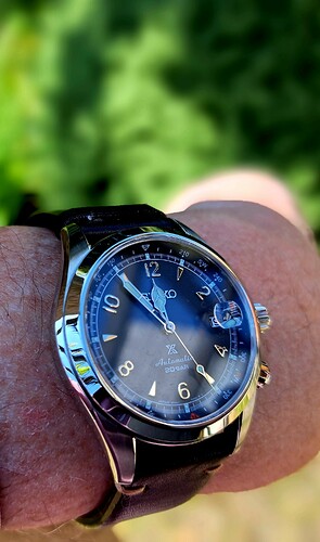 Seiko Alpinist (3) 19-05-2023