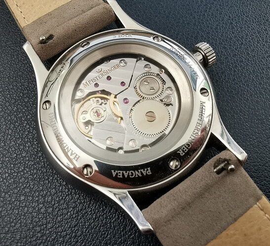 Meistersinger Pangaea PM308 (3)
