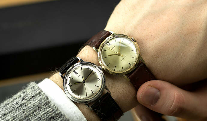 Timex Marlin NvsOld
