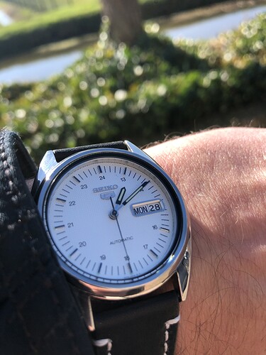 Seiko 5 white