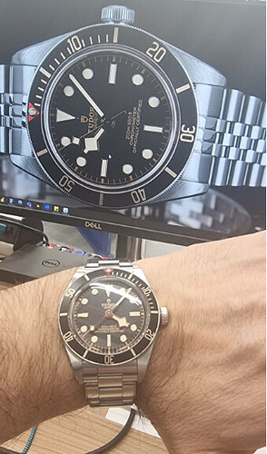 Tudor 58.PNG