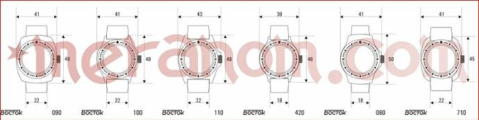 Boctok cases