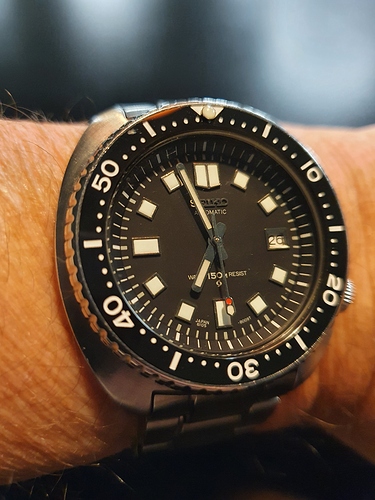 16063701756506373708269294425381