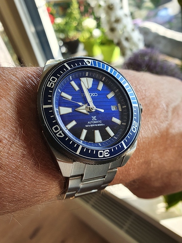 15950554278936885955254054286354