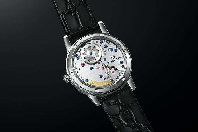 SBGZ005_caseback