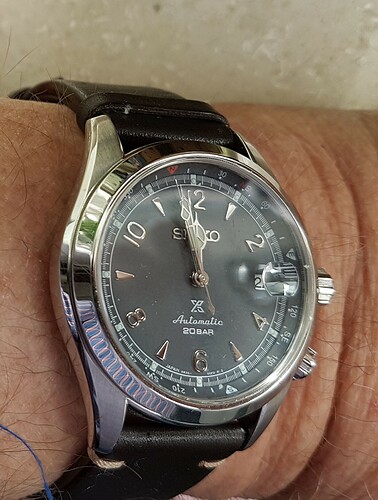 Seiko Alpinist (1) 22-3-2023