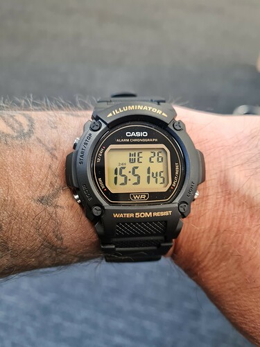 16903794574796159353075845005182