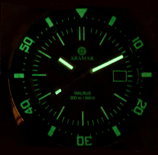 Walrus blue lume