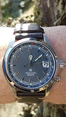Seiko Alpinist (1) 27-02-2023