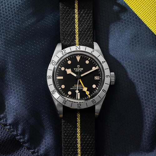 tudor-m79470-0002 kopie