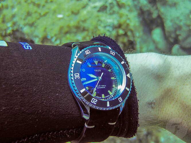 Vaer-D5-Arctic-Diving-2043