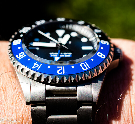Ocean One GMT Titaniunm (4 of 8)