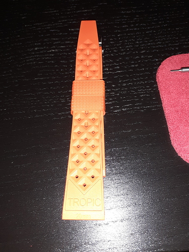 15978683311123835231582010320934