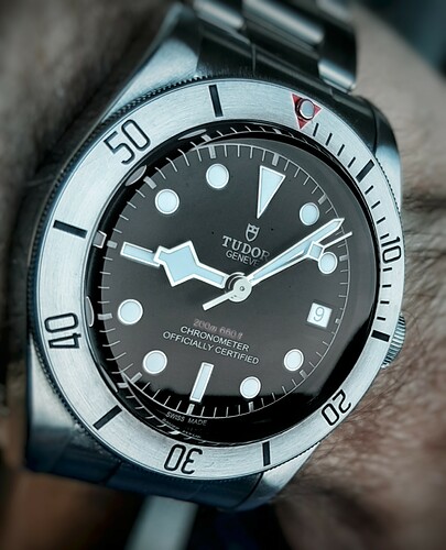 tudor22