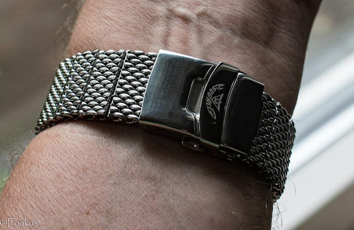 squale (5 of 12)