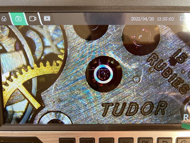 tudor