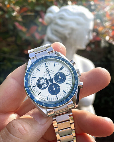 Silver Snoopy 50th (43)