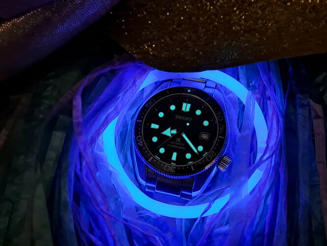 20231127_202247