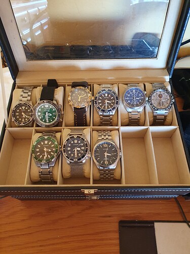 collectie Citizen