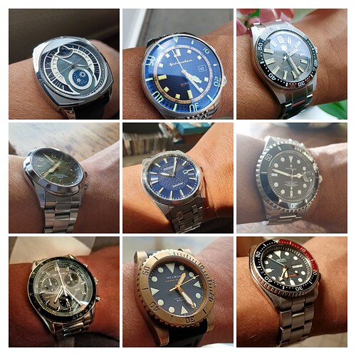 20200514_100528-COLLAGE