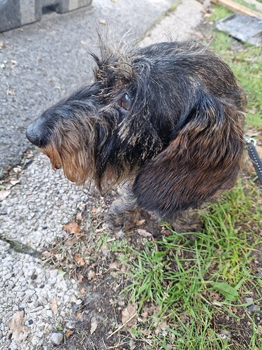 16931578563433467056966357794897