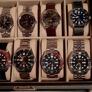 16045944430863778254410544019231