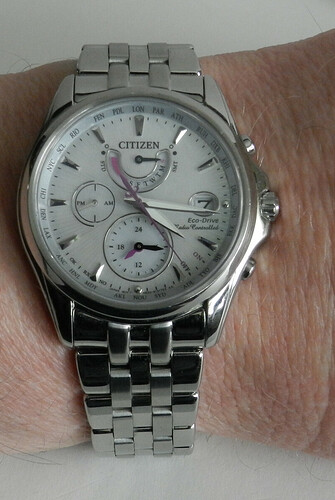 Citizen_DSCN4217