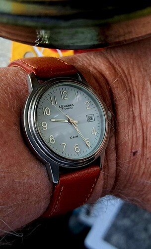 Leijona quartz titanium(2) 24-10-2023