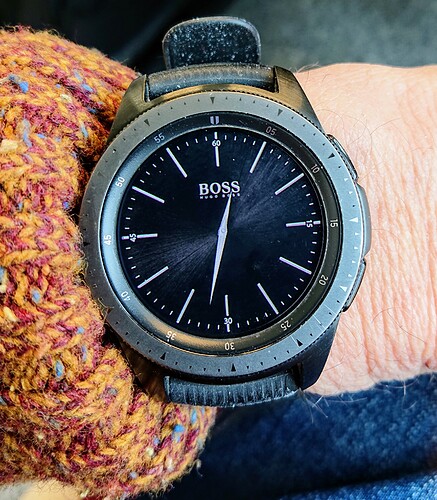 Hugo Boss plaat