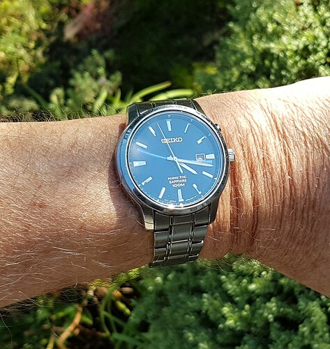 Seiko Kinetic (1) 09--10-22