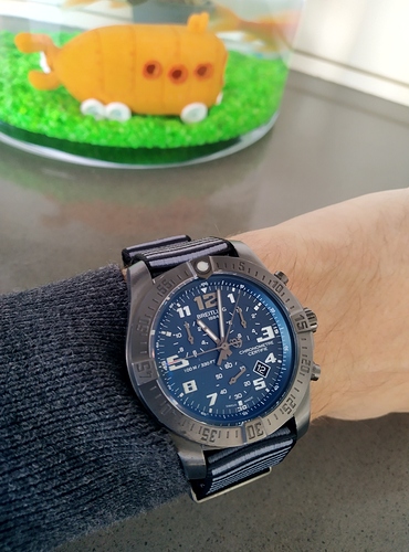 16051753849443105852786688869566