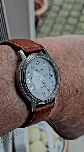 Leijona quartz titanium(3) 24-10-2023