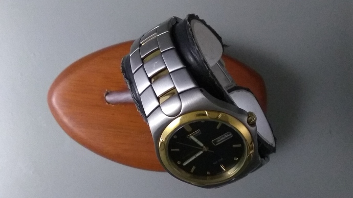 citizen -- E101-17543