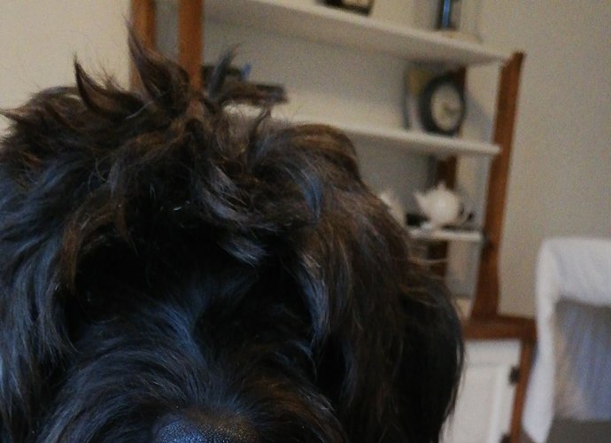 IMG-20191012-WA0011