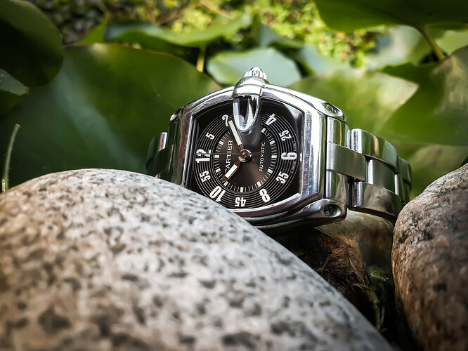 Cartier-8
