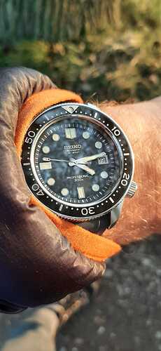 IMG-20211119-WA0007