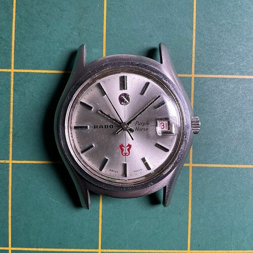rado purple horse