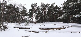 IMG_20210207_094016