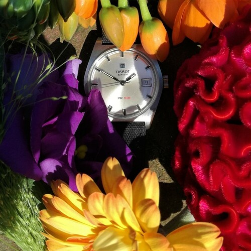 IMG-20230430-149025