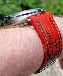 Pan Red Band 1