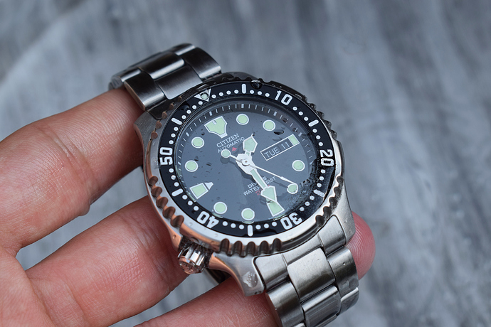 Citizen Promaster