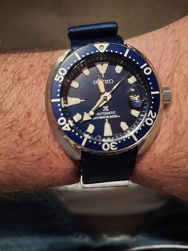 16063438121961411235592276759732